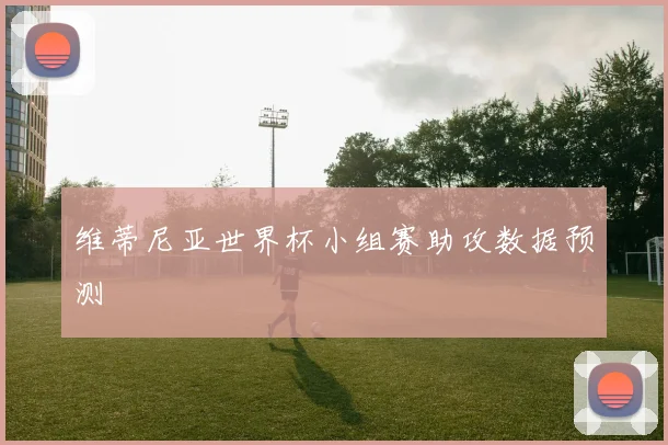 维蒂尼亚世界杯小组赛助攻数据预测