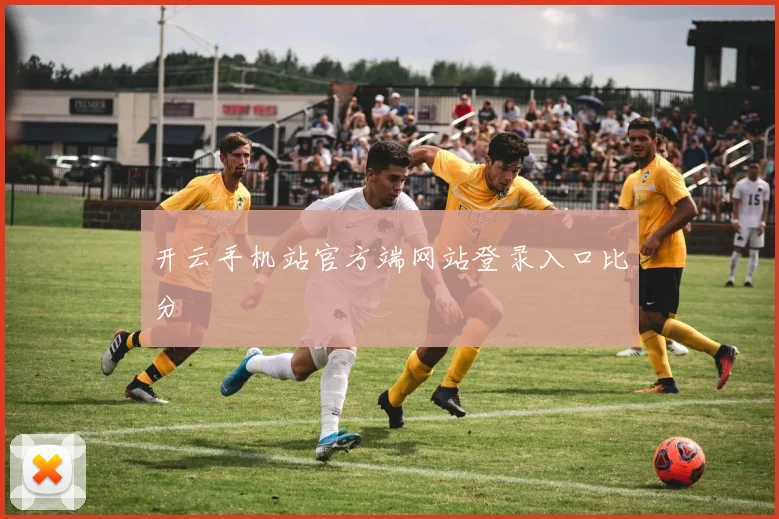 开云手机站官方端网站登录入口比分