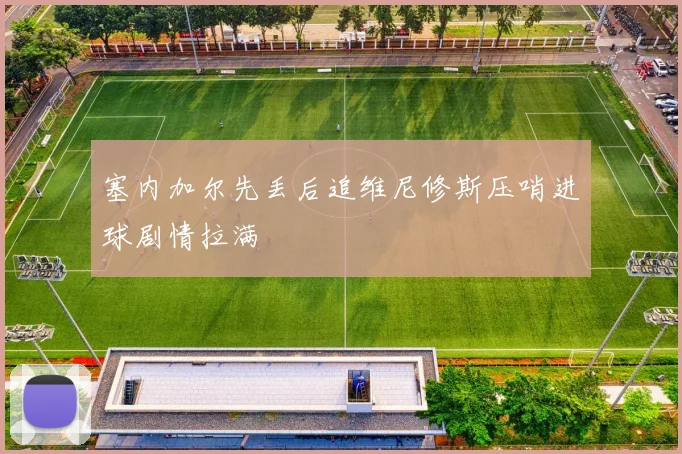 塞内加尔先丢后追维尼修斯压哨进球剧情拉满