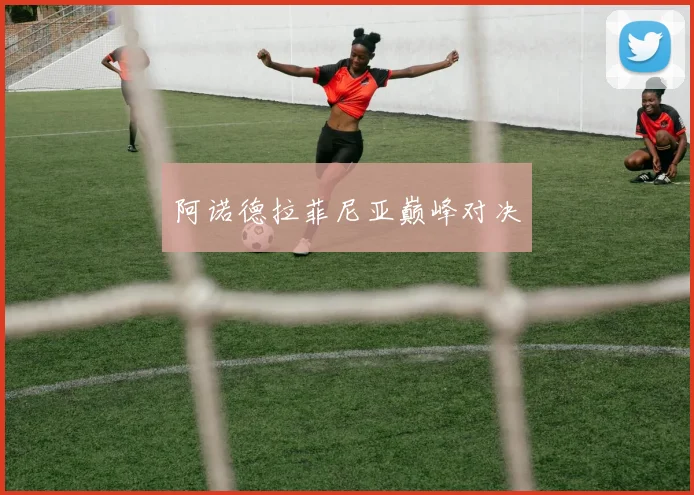 阿诺德拉菲尼亚巅峰对决
