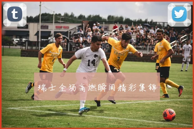 瑞士全场高燃瞬间精彩集锦