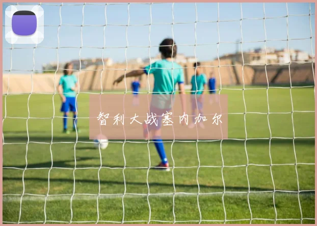 智利大战塞内加尔