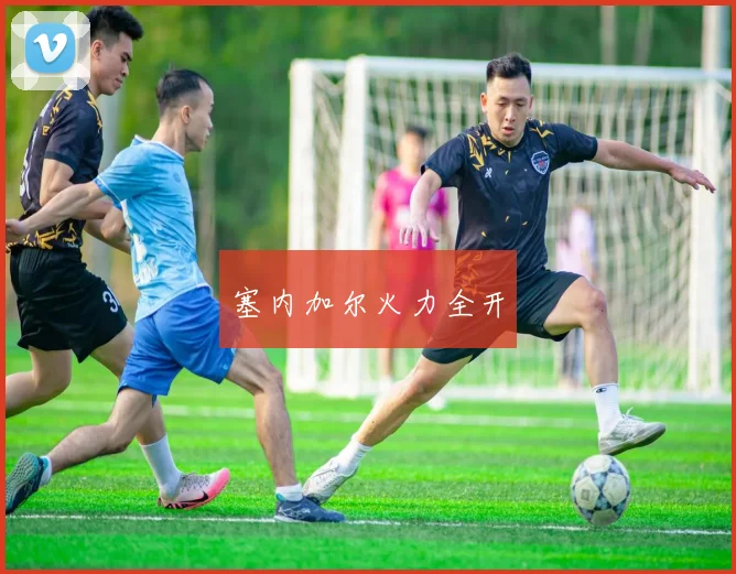 塞内加尔火力全开