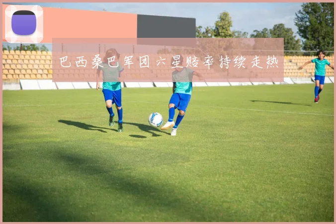巴西桑巴军团六星赔率持续走热