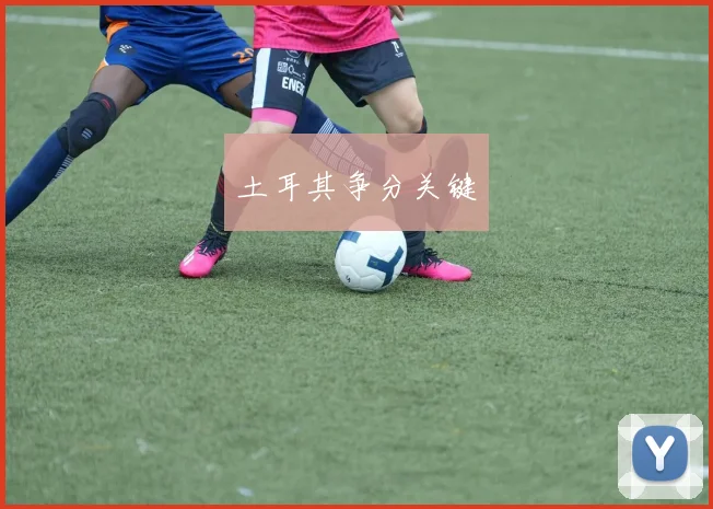 土耳其争分关键