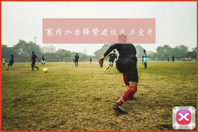 塞内加尔强势进攻火力全开