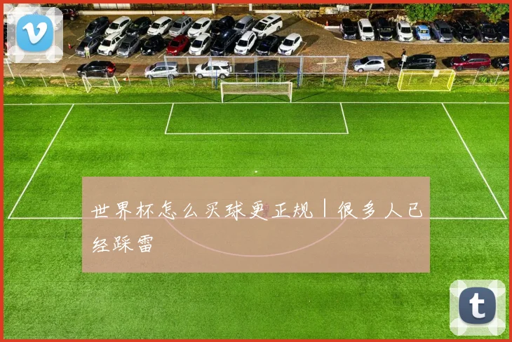 世界杯怎么买球更正规|很多人已经踩雷