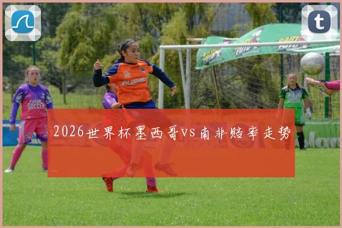 2026世界杯墨西哥vs南非赔率走势