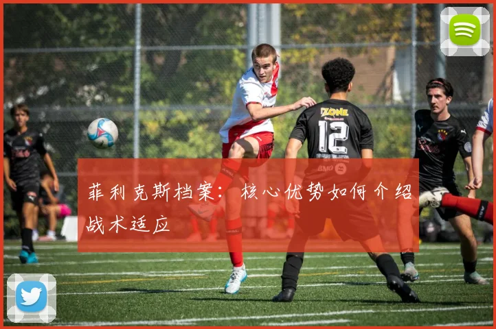 菲利克斯档案:核心优势如何介绍战术适应
