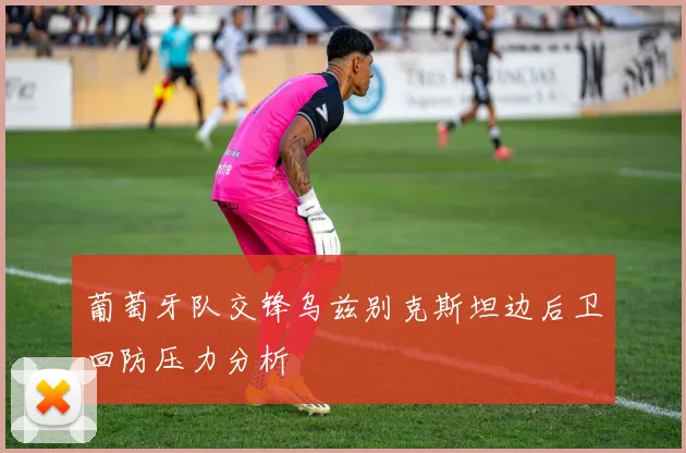 葡萄牙队交锋乌兹别克斯坦边后卫回防压力分析