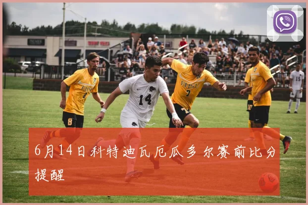 6月14日科特迪瓦厄瓜多尔赛前比分提醒