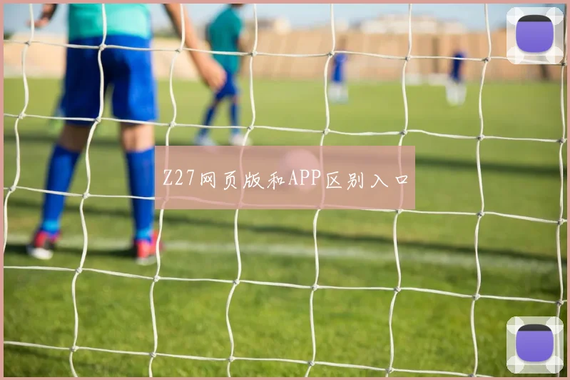 Z27网页版和APP区别入口