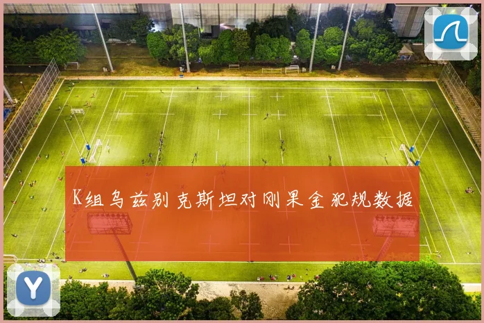 K组乌兹别克斯坦对刚果金犯规数据
