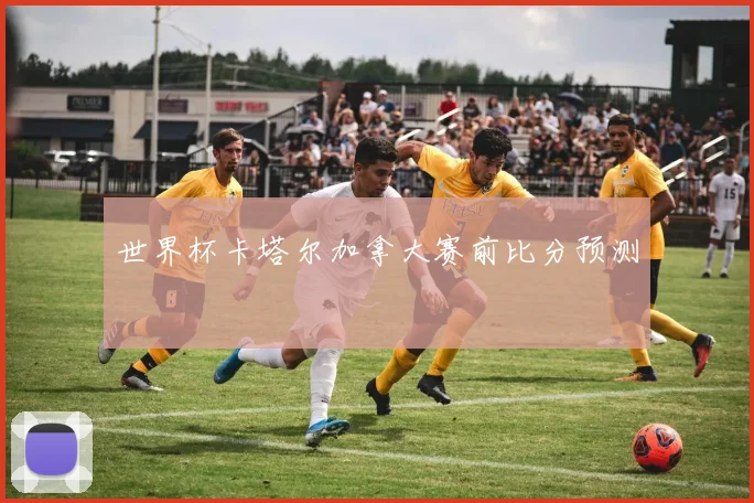世界杯卡塔尔加拿大赛前比分预测